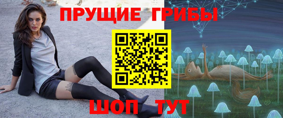 Псилоцибиновые грибы Psilocybine cubensis  Вход с VPN  Ртищево 